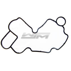 Oil Pump Housing O-Ring: Sea-Doo 1503 Supercharged 4-Tec 04-05