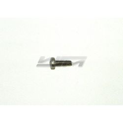 Fuel Valve Screw: Stainless Steel