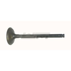 Exhaust Valve: Yamaha 1800 08-22