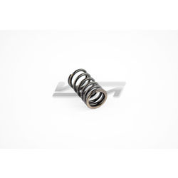 Valve Spring, Outer: Sea-Doo 1503 / 1630 4-Tec 02-22