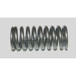 Valve Spring, Intake: Yamaha 1000 - 1100 02-22