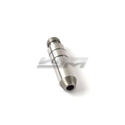 Valve Guide, Intake: Yamaha 1000 - 1100 02-22